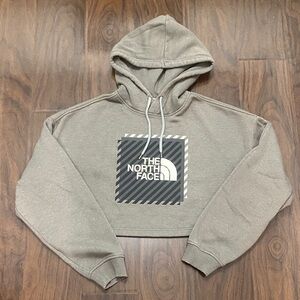 The North Face Coordinates Crop Drop Shoulder Pullover Hoodie
